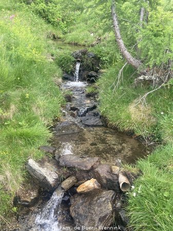 240710_142653-IMG_9114.JPG