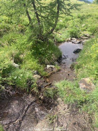 240710_143605-IMG_9115.JPG