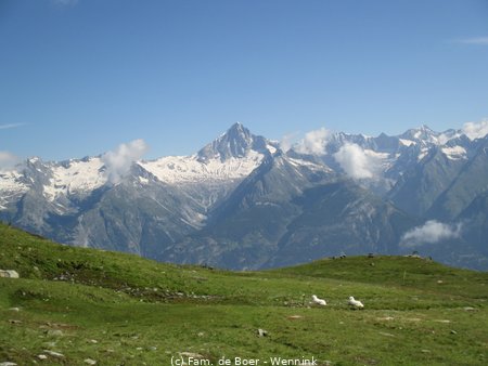 240711_095855-IMG_8284.JPG