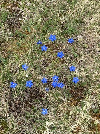 240711_132744-IMG_9152.JPG