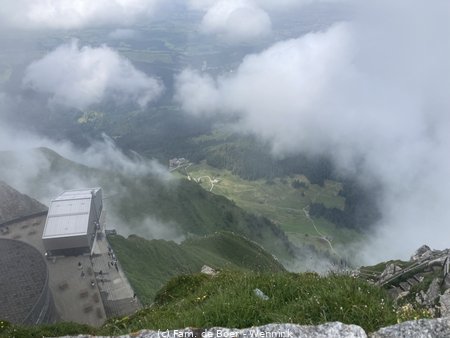 240717_153059-IMG_9350.JPG