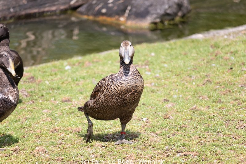 240717_114247-IMG_12700.jpg