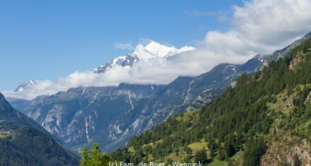 240704_103726-IMG_9232.jpg