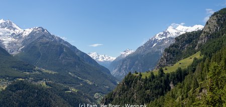 240704_121956-IMG_9329.jpg