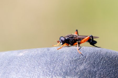 240705_145741-IMG_9841.jpg