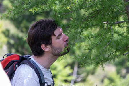 240705_153256-IMG_9948.jpg
