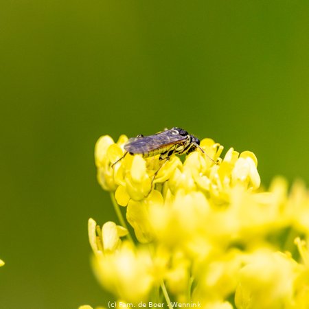 240710_121102-IMG_10489.jpg