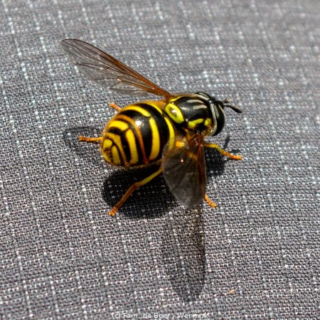 240710_150255-IMG_10727.jpg
