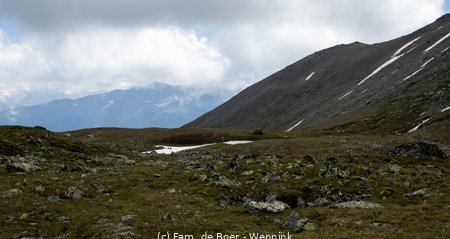 240711_120015-IMG_11237.jpg