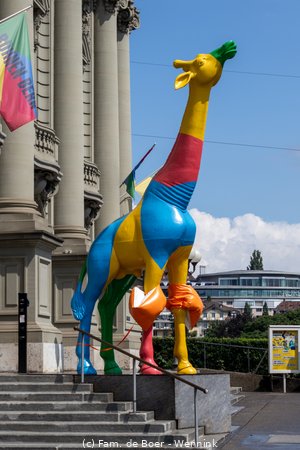 240716_115112-IMG_12170.jpg