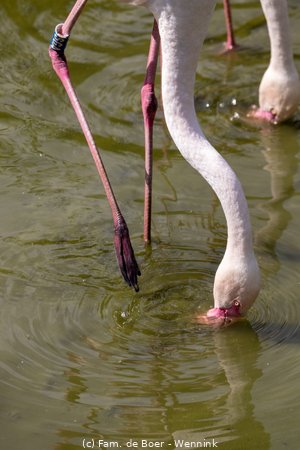 240717_110838-IMG_12476.jpg