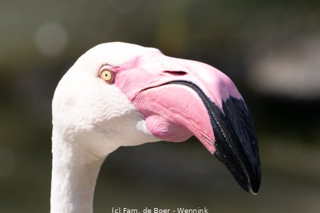 240717_111007-IMG_12505.jpg