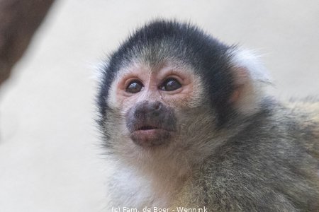 240717_111914-IMG_12601.jpg
