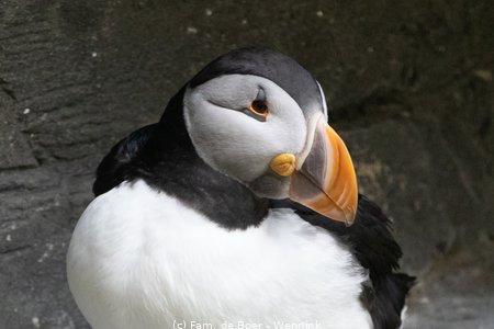 240717_114809-IMG_12768.jpg