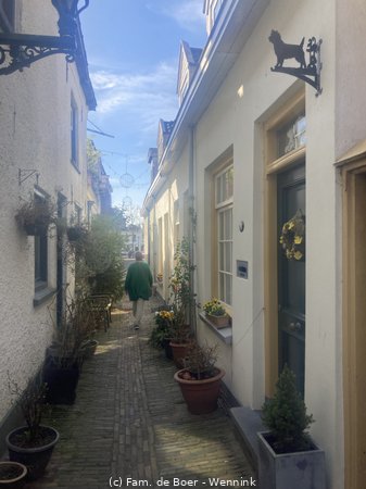 250321_121714-IMG_0776.jpg