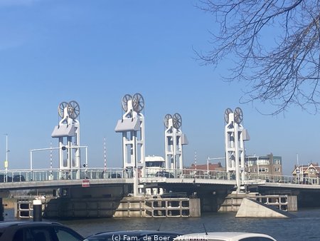 250321_135504-IMG_0795.jpg