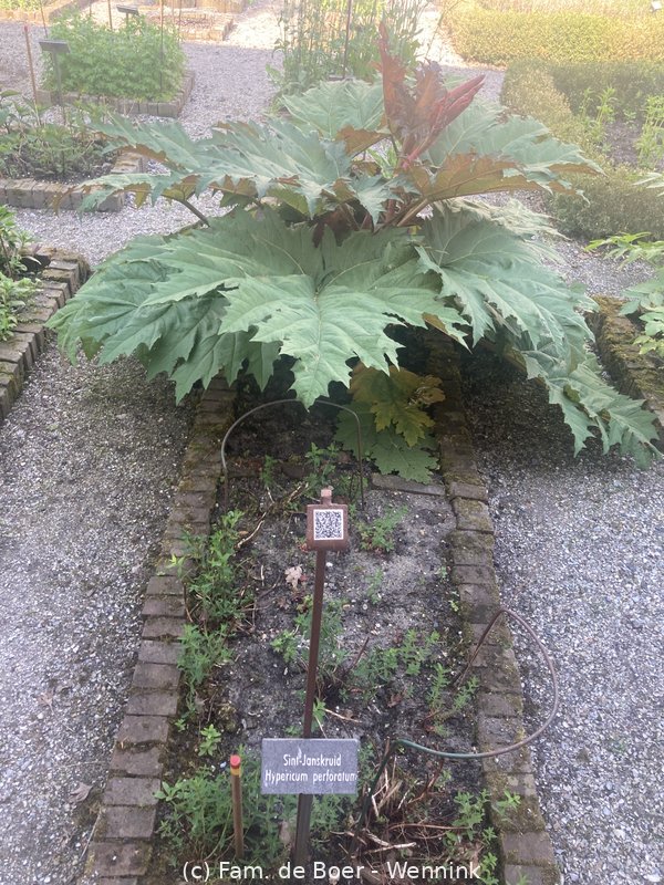 250502_161537-IMG_1072.jpg