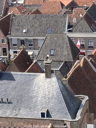 250502_144456-IMG_1049.jpg