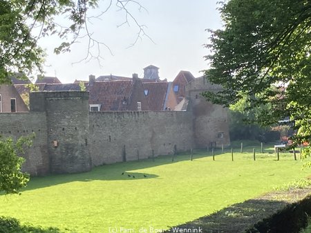 250502_172927-IMG_1082.jpg