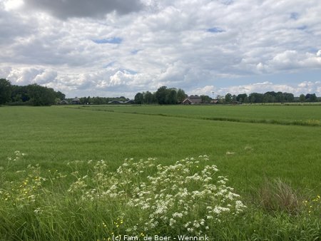 250518_140310-IMG_1217.jpg