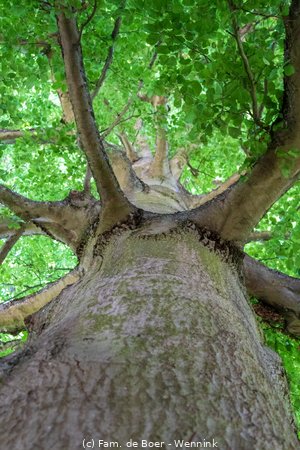 250710_124723-IMG_8268.jpg