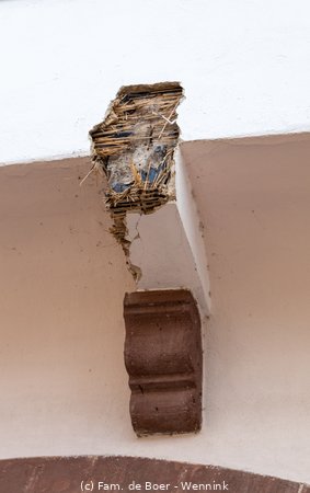 250710_130245-IMG_8286.jpg