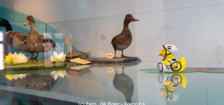 250716_114941-IMG_8851.jpg