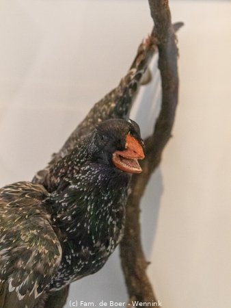 250716_123933-IMG_8872.jpg