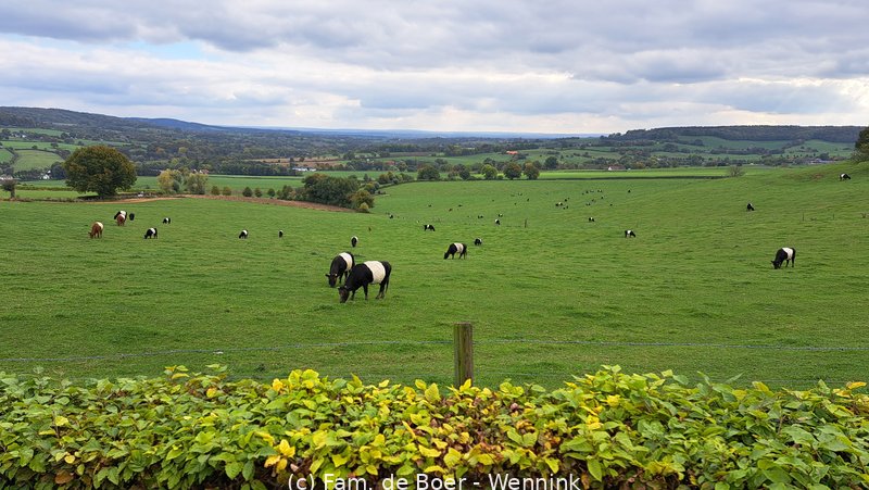 251009_141247-20251009_141246.jpg