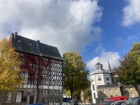 251009_113755-IMG_3172.jpg