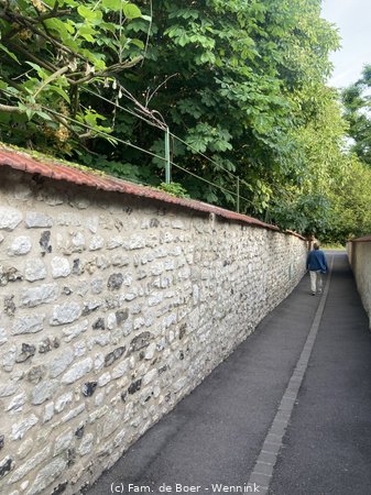 250609_195758-IMG_1365.jpg