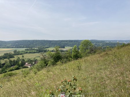 250610_133208-IMG_1405.jpg