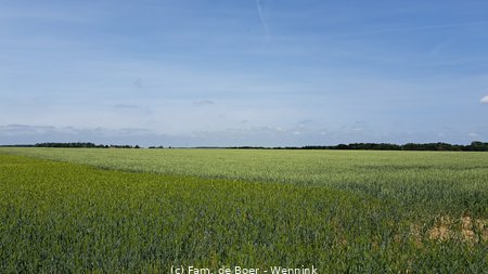 250610_145453-145452.jpg