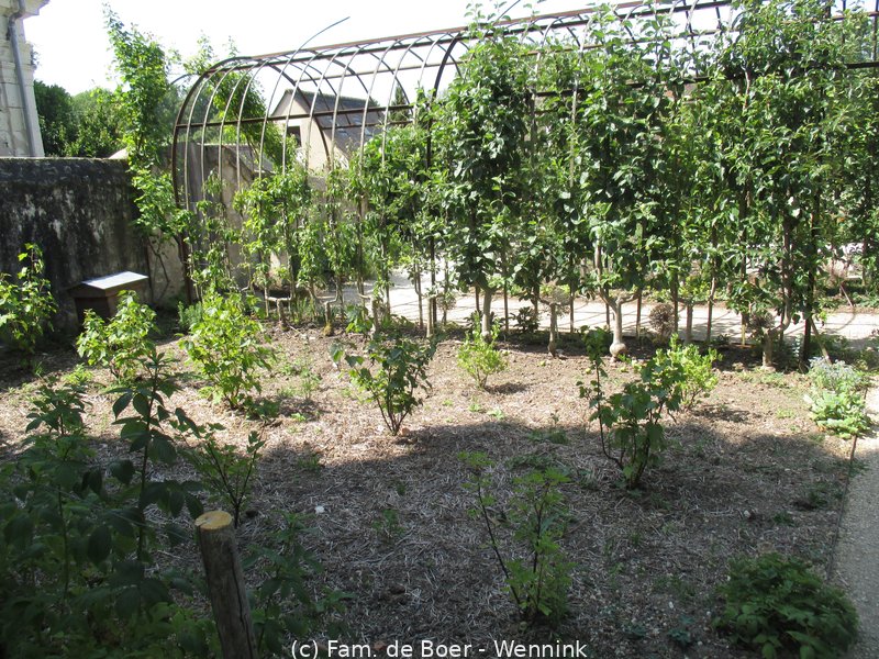 250613_113700-IMG_9012.JPG