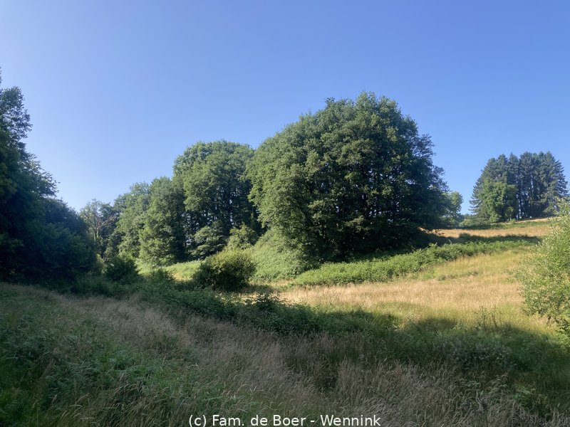 250617_173427-IMG_1674.JPG