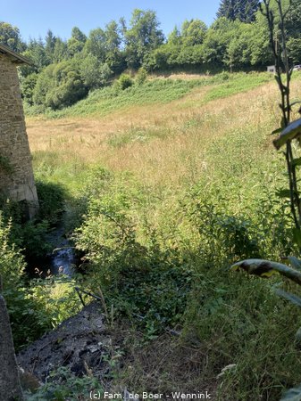 250619_120726-IMG_1717.JPG