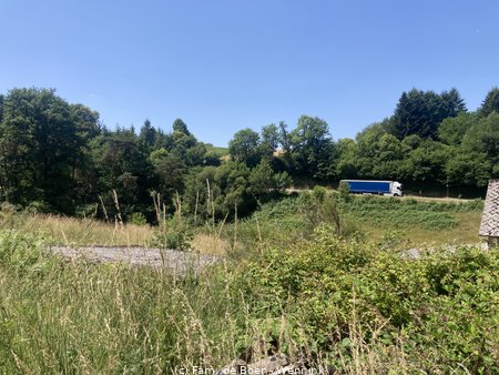 250619_125355-IMG_1751.JPG