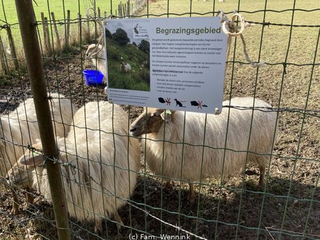 260315_122451-IMG_4576.jpeg