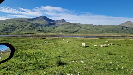 260526_174254-174254.jpg