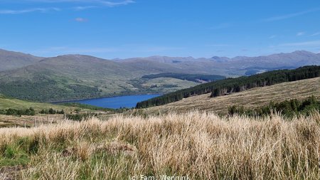 260527_115847-115847.jpg