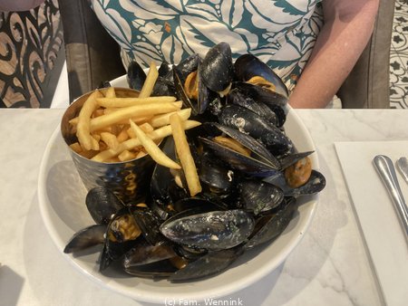 260527_185316-IMG_5354.jpeg