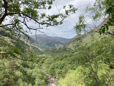 260528_101855-IMG_5364.jpeg