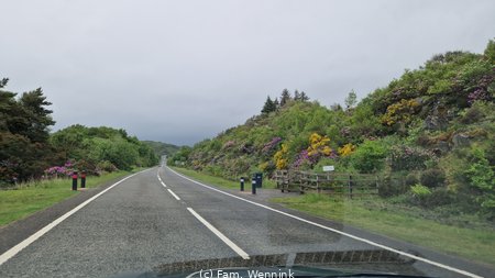 260529_110731-110730.jpg