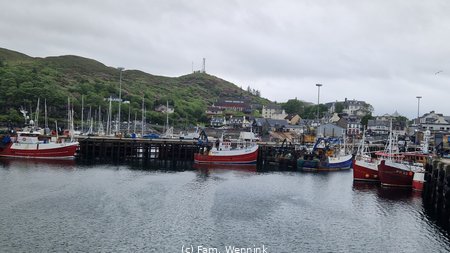 260529_113011-113010.jpg