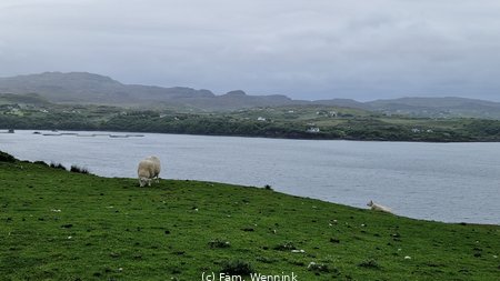 260530_114208-114208.jpg