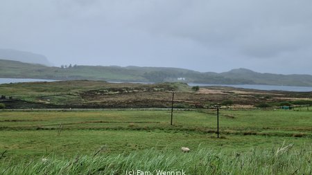 260530_155231-155231.jpg