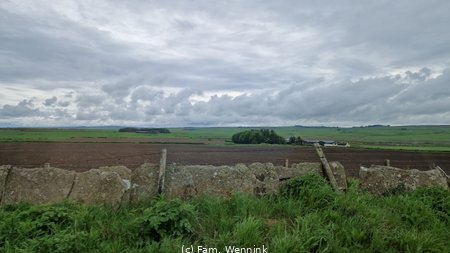 260603_163355-163354.jpg