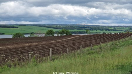 260604_155441-155441.jpg