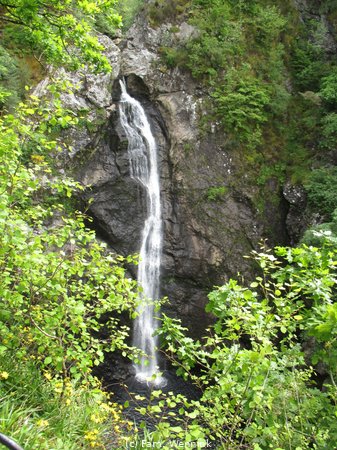 260605_142610-IMG_9822.JPG