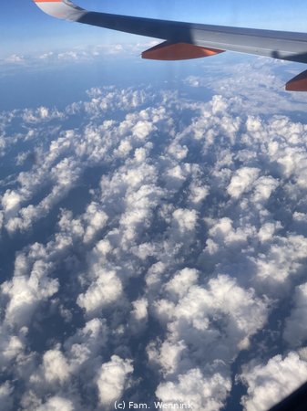 260612_194902-IMG_6581.jpeg